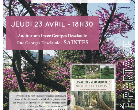 Projection de film &agrave; Saintes