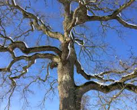 Labellisations de novembre / décembre 2024 Labellisations de novembre / décembre 2024