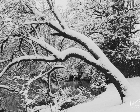 Labellisations de janvier / février 2024 Labellisations de janvier / février 2024