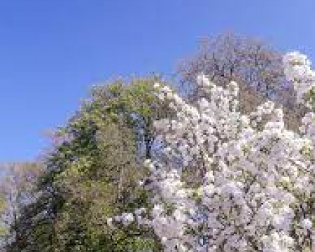 Labellisations de mars 2023 Labellisations de mars 2023