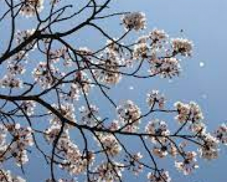 Labellisations d'avril 2023 Labellisations d'avril 2023