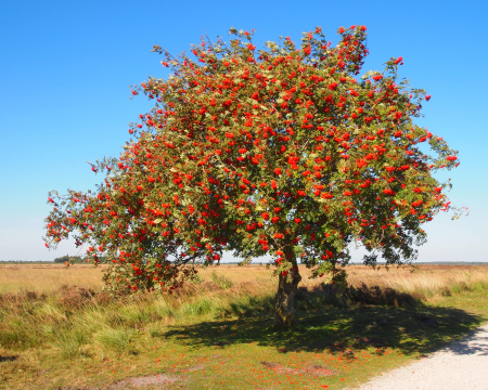 Labellisations de mai / juin 2024 Labellisations de mai / juin 2024