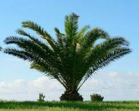 Labellisations de juillet / août 2024 Labellisations de juillet / août 2024