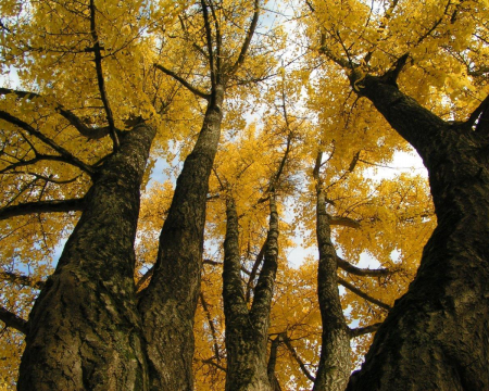 Retour en images sur quelques labels de 2021