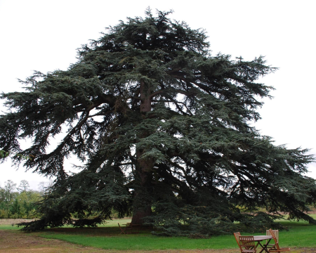 Remise de label à Bourg (52) Remise de label à Bourg (52)
