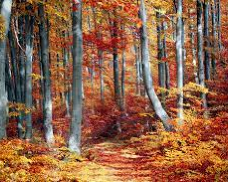 Labellisations de septembre / octobre 2024 Labellisations de septembre / octobre 2024