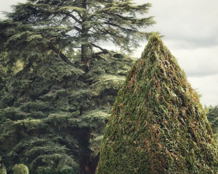 Quelques labels de mars et d'avril