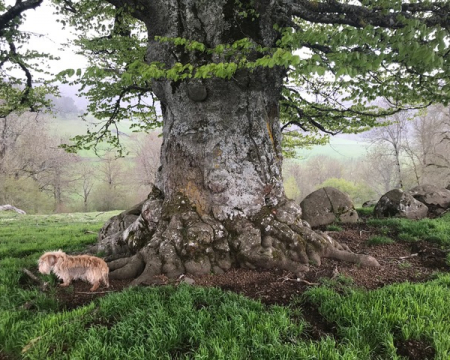 Quelques remises de labels de l'&eacute;t&eacute; 2021 !