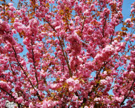 Labellisations de mars / avril 2024 Labellisations de mars / avril 2024