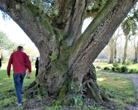 Des mois de mai et de juin riches en labels