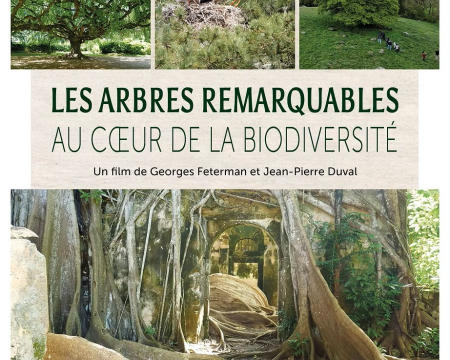 3ème film documentaire - Les arbres remarquables au coeur de la biodiversité 3ème film documentaire - Les arbres remarquables au coeur de la biodiversité