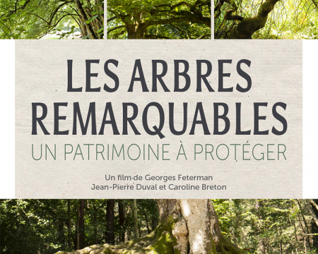Projection du film Les arbres remarquables à Lamorlaye