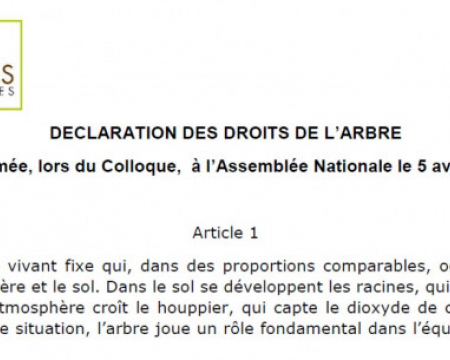 Adoption de la D.D.A. par la ville de Strasbourg