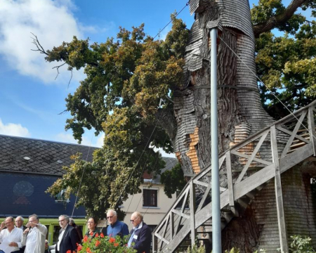 Le chêne d'Allouville (76) reçoit le prix Robert Bourdu