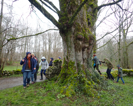 Les remises de label du printemps 2023 (2) : l'orme d'Ar&ccedil;on (25)