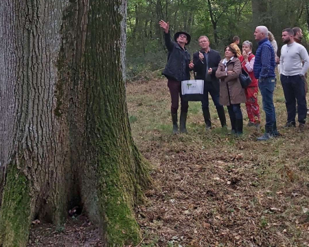 Labels d'automne Labels d'automne