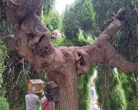 Quelques remises de labels de l'été 2025 Quelques remises de labels de l'été 2025