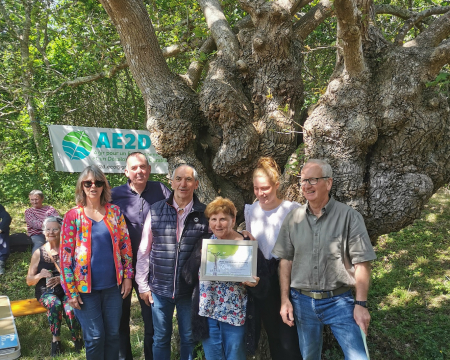 Les remises de label du printemps 2023 (6) : le chêne aux mille visages de la vallée du Restic (29) Les remises de label du printemps 2023 (6) : le chêne aux mille visages de la vallée du Restic (29)