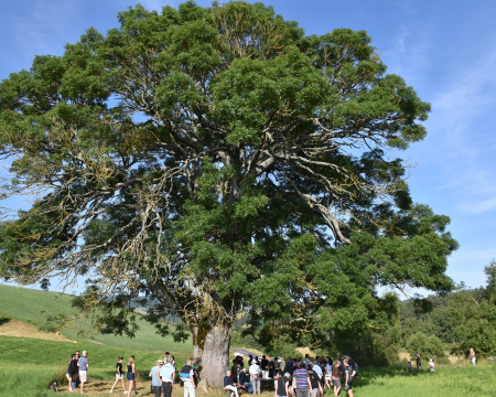 Quelques remises de labels de l'&eacute;t&eacute; 2024