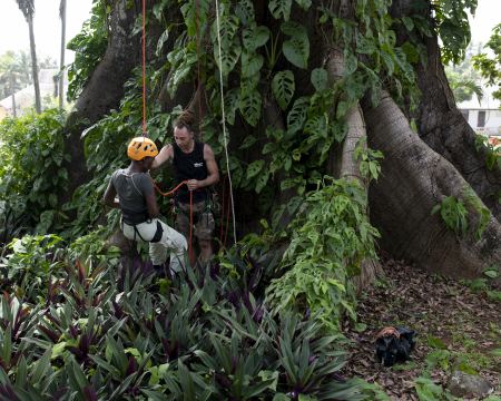 La première labellisation en Guyane ! La première labellisation en Guyane !