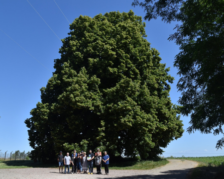 Retour en images sur quelques remises de label du mois de juin