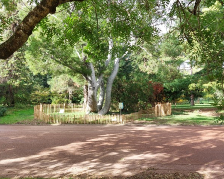 La DDA à Lyon et labellisation du parc de la Tête d'Or ! La DDA à Lyon et labellisation du parc de la Tête d'Or !