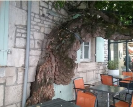 Remise de label à Fontenay-le-Comte (85) Remise de label à Fontenay-le-Comte (85)