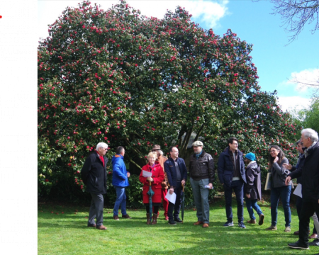 Le cam&eacute;lia de Chantore (50)