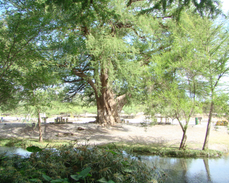 Remise de label à Pont-sur-Seulles (14)