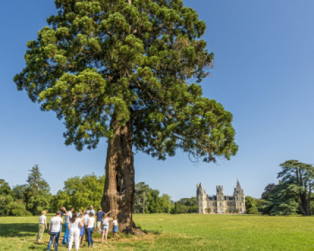 Les remises de label de l'été 2023 (1) : les arbres d'Anjou Les remises de label de l'été 2023 (1) : les arbres d'Anjou