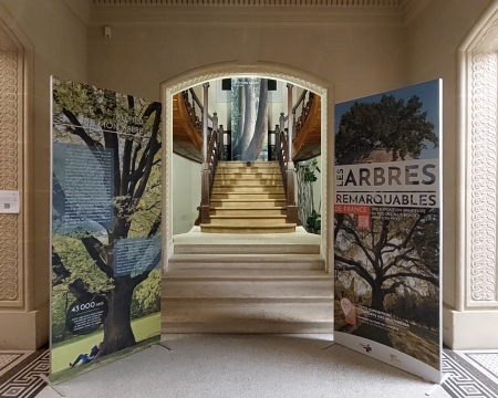 Exposition à Brunoy (91)