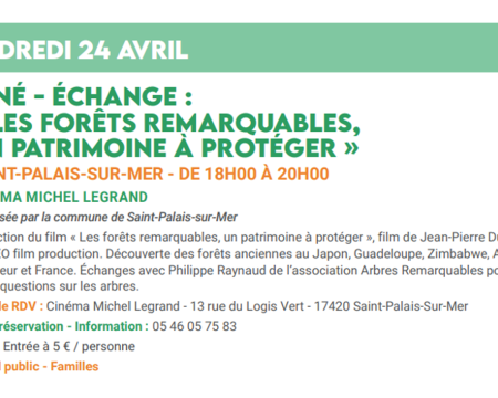 Projection de film &agrave; Saint-Palais-Sur-Mer