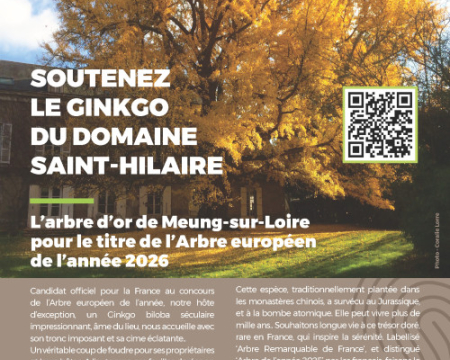 Les votes pour l’Arbre européen de l’année 2026 sont ouverts ! Les votes pour l’Arbre européen de l’année 2026 sont ouverts !