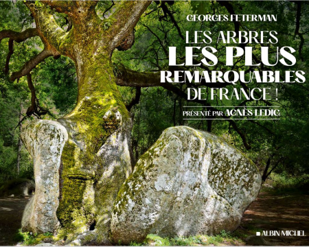 Les arbres les plus remarquables de France