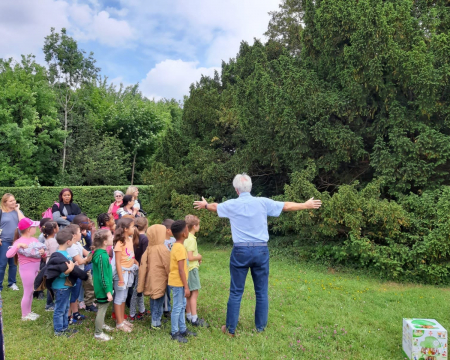 Atelier Reconnaître les arbres à Maisons-Alfort (94)