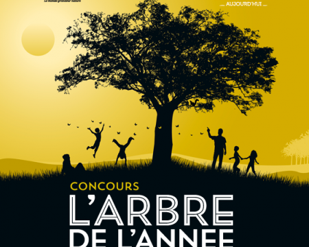 Candidatez à l'arbre de l'année 2021 ! Candidatez à l'arbre de l'année 2021 !