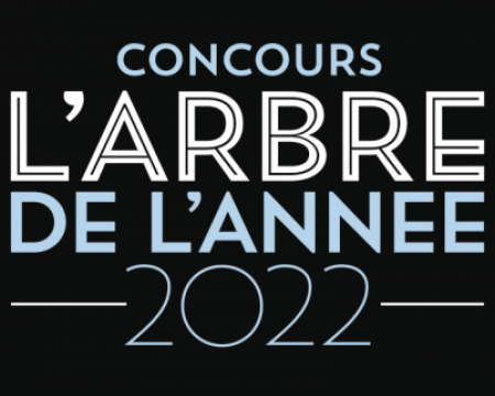 Votez pour l'arbre de l'année 2022 !