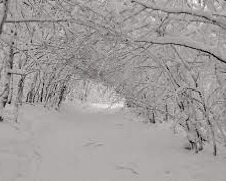 Labellisations de janvier 2023 Labellisations de janvier 2023