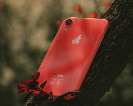 A.R.B.R.E.S. dans la presse et sur la Toile