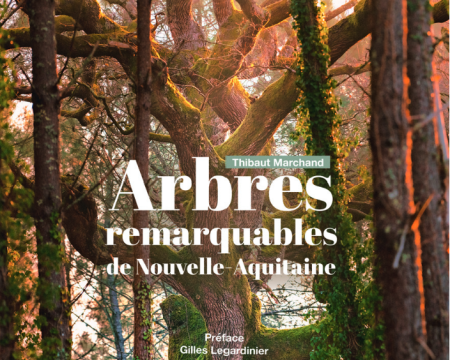 Arbres remarquables de Nouvelle-Aquitaine Arbres remarquables de Nouvelle-Aquitaine