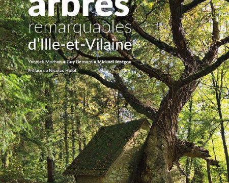 Arbres remarquables d'Ille-et-Vilaine Arbres remarquables d'Ille-et-Vilaine