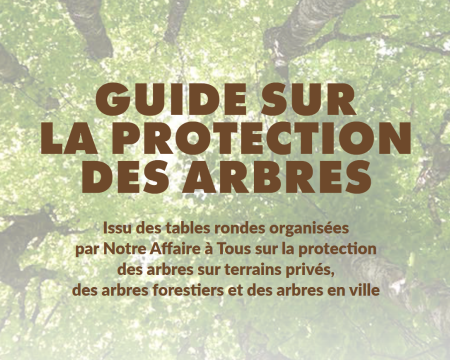 Guide de protection des arbres Guide de protection des arbres
