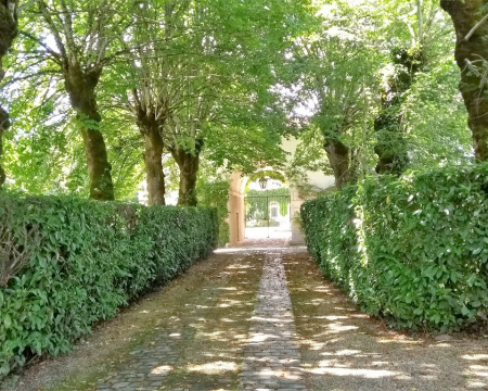 Le droit de propri&eacute;t&eacute; pour prot&eacute;ger les arbres