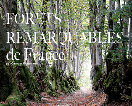 Forêts remarquables de France Forêts remarquables de France