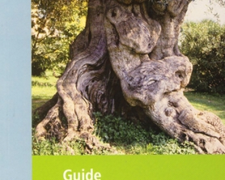 Guide des arbres remarquables de France Guide des arbres remarquables de France